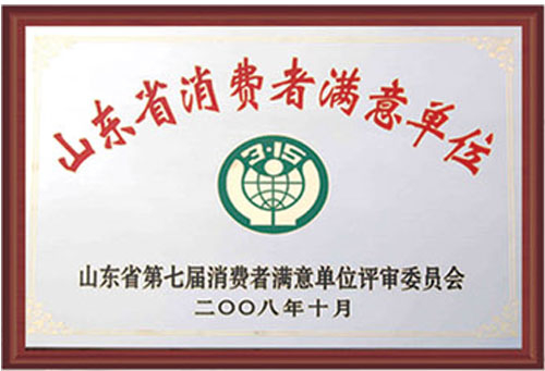 Shandong chunxu eléctrico