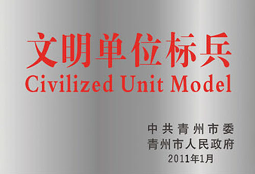 Shandong chunxu eléctrico