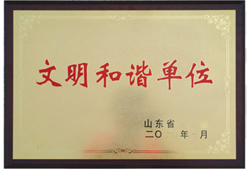 Shandong chunxu eléctrico