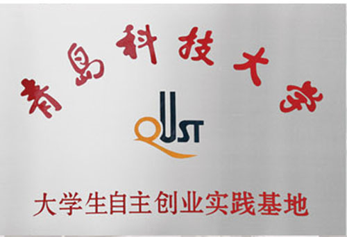 Shandong chunxu eléctrico