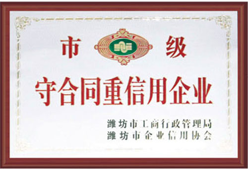 Shandong chunxu eléctrico