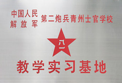 Shandong chunxu eléctrico